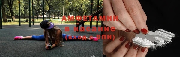 СК Новодвинск