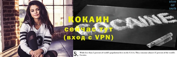 крисы Кодинск