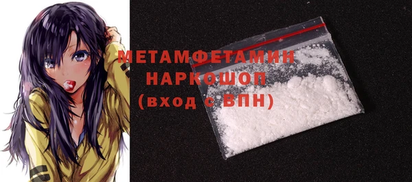 индика Козловка