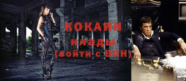 молекула духа Касимов