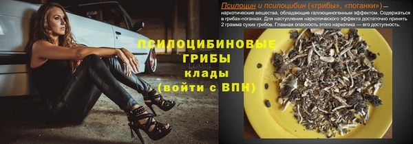 прущая мука Карпинск