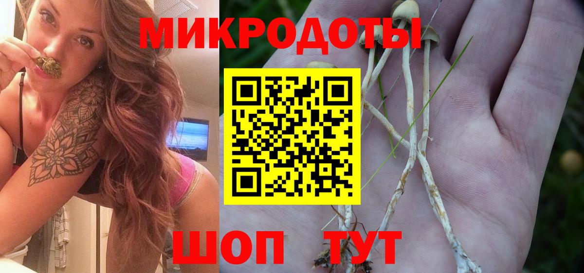 Галлюциногенные грибы Magic Shrooms Южно-Сахалинск
