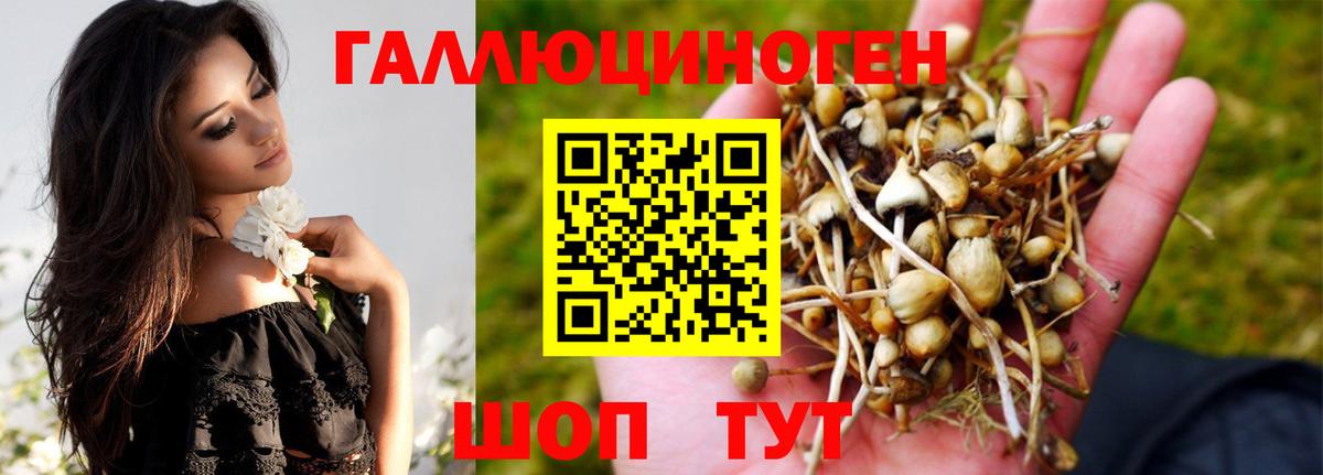Псилоцибиновые грибы GOLDEN TEACHER  Вход с VPN  Южно-Сахалинск 