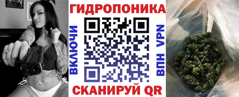 Бошки Шишки план Южно-Сахалинск